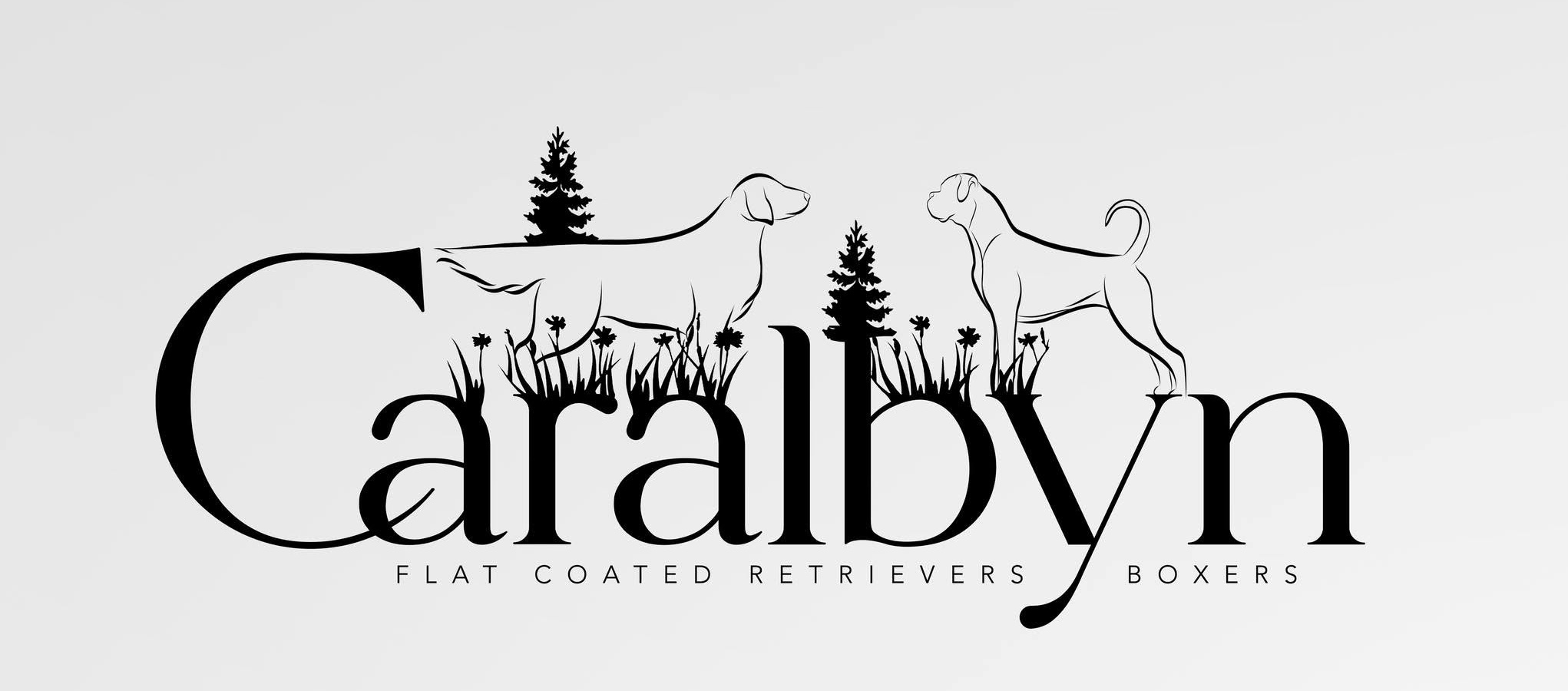Caralbyn – Flat Coated Retrievers & Boxers